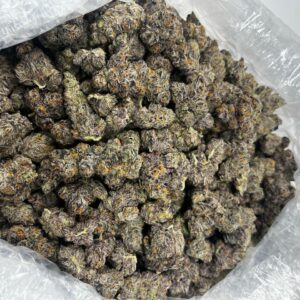 Black Cherry Gelato Strain 🔥