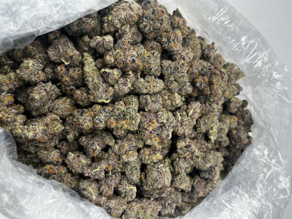 Black Cherry Gelato Strain 🔥
