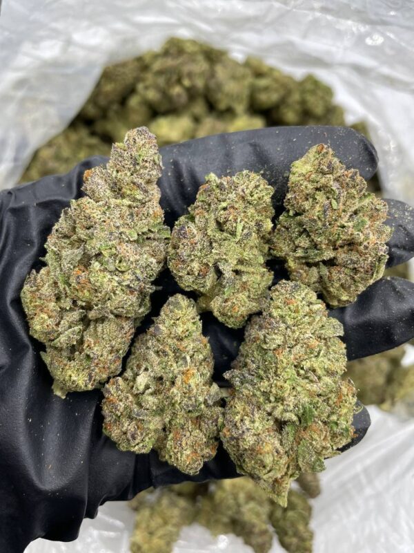 Buy Blue Gushers Strain