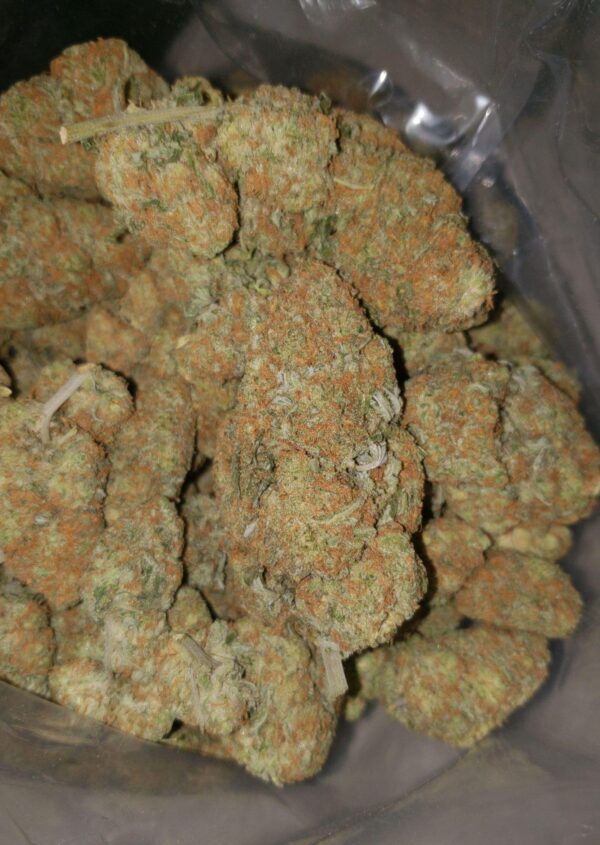GIRL SCOUT COOKIES