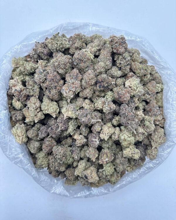 WHITE TRUFFLEZ AAA 🔥