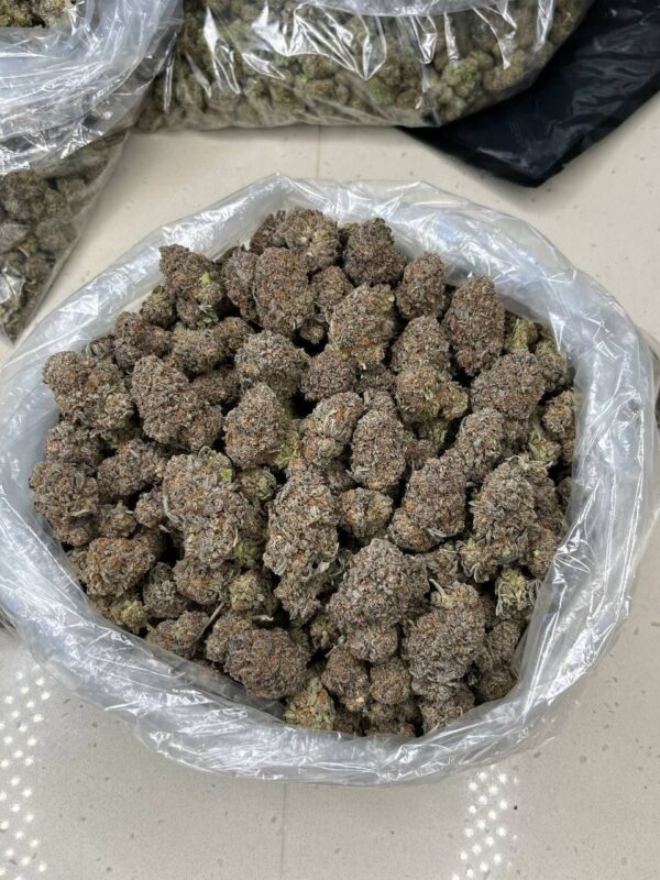 TEST RUN MIX PACK (Oz, Cart, Edible)