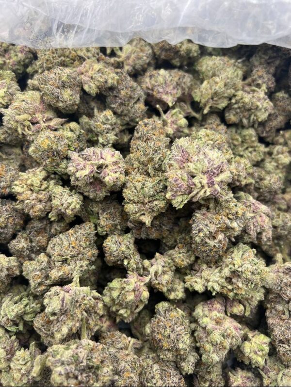 TROPICAL COOKIES