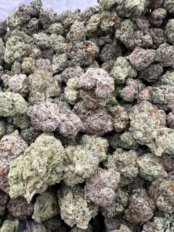 LEMON CHERRY GELATO